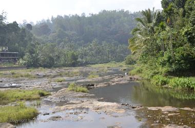 Periyar N.P., Thekkadi_DSC7435_H600